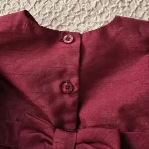 Baby Girl Floral Lined Burgundy Dress with Diaper Cover set of 2 - Picture 9 of 9